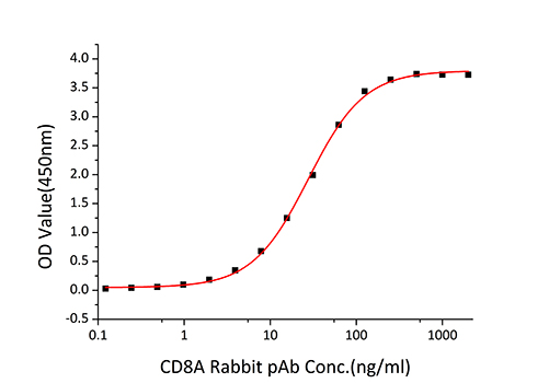 Recombinant Human CD8a Protein