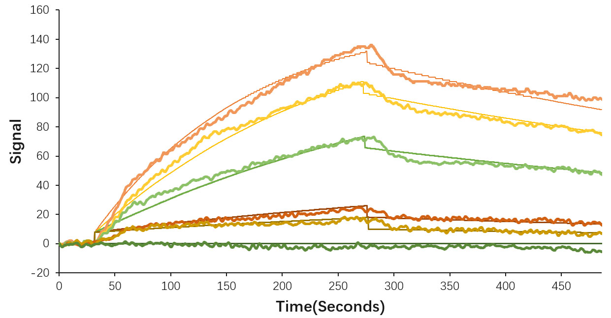 Recombinant SARS-CoV-2 Spike RBD Protein