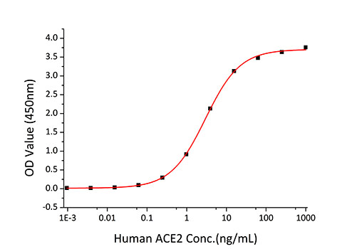 Recombinant SARS-CoV-2 Spike RBD Protein