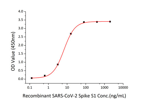 Recombinant SARS-CoV-2 Spike S1 Protein