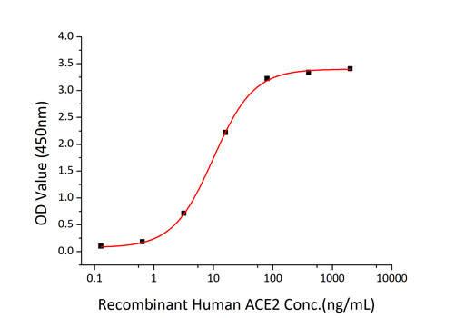 Recombinant SARS-COV-2 Spike S1+S2 ECD(S-ECD) Protein