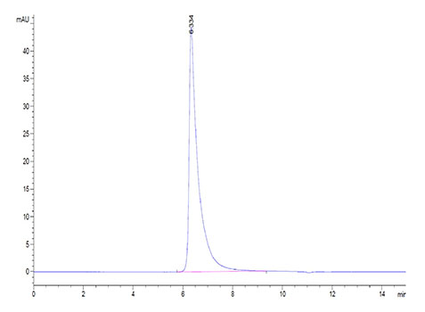 Recombinant SARS-CoV-2 Spike S1+S2 ECD(S-ECD) Protein