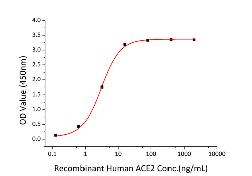Recombinant SARS-CoV-2 Spike S1+S2 ECD(S-ECD) Protein