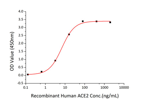 Recombinant SARS-CoV-2 Spike S1 Protein