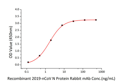 Recombinant SARS-CoV-2 Nucleocapsid Protein