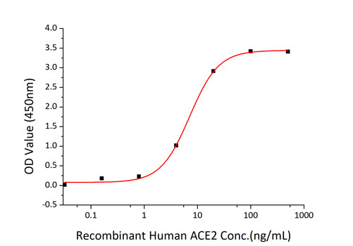 Recombinant SARS-CoV-2 Spike S1 Protein