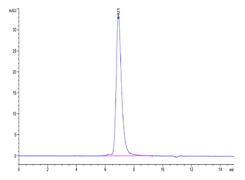 Recombinant SARS-CoV-2 Spike RBD Protein