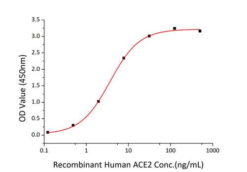 Recombinant SARS-CoV-2 Spike RBD Protein