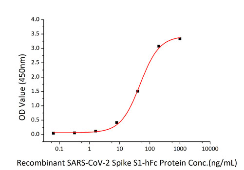 Recombinant SARS-CoV-2 Spike S1 Protein