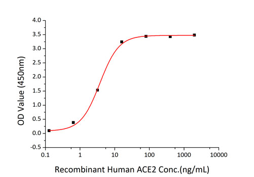 Recombinant SARS-CoV-2 Spike S1+S2 ECD(S-ECD) Protein