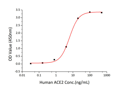 Recombinant SARS-CoV-2 Spike S1(D614G) Protein