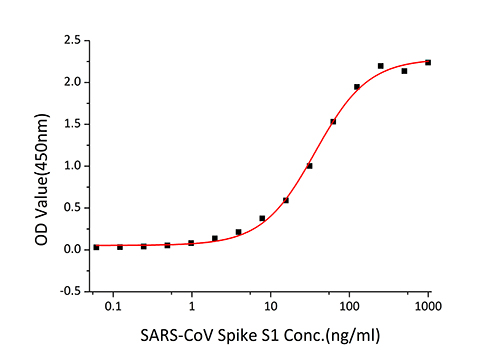 Recombinant SARS-CoV Spike S1 Protein