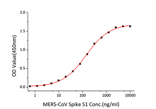 Recombinant MERS-CoV Spike RBD Protein
