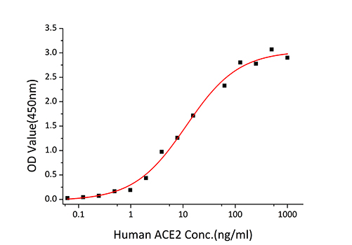 Recombinant SARS-CoV Spike S1 Protein
