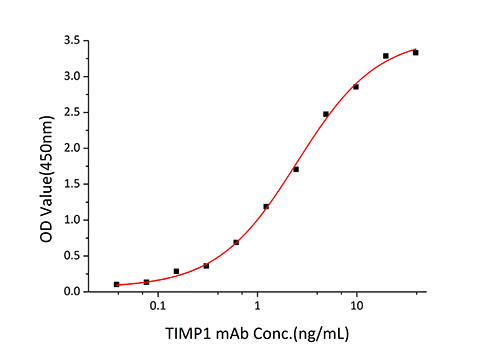 Recombinant Human TIMP-1 Protein