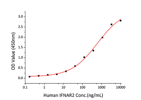 Recombinant Human IFNAR2 Protein