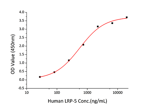 Recombinant Human Dkk-1 Protein