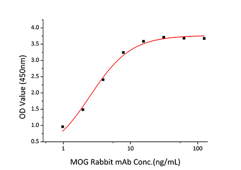 Recombinant Human Myelin oligodendrocyte glycoprotein/MOFG Protein