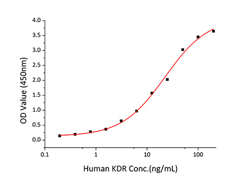 Recombinant Human VEGFR-2/KDR/CD309 Protein