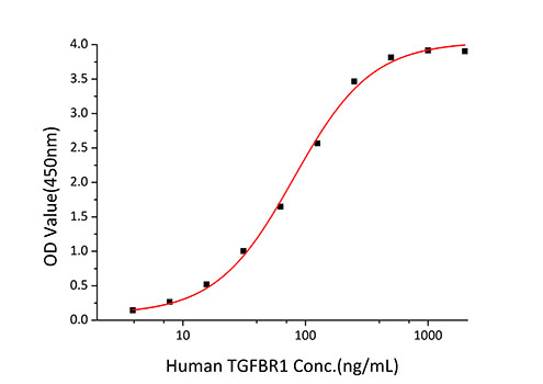 Recombinant Human TGFR-1/ALK-5 Protein