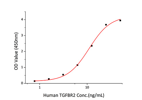 Recombinant Human Mature TGF-beta 1 Protein
