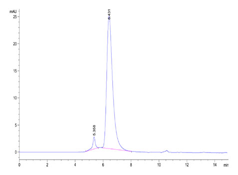Recombinant Cynomolgus TNFRSF17/BCMA/CD269 Protein