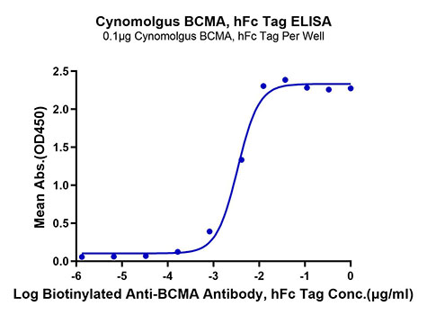 Recombinant Cynomolgus TNFRSF17/BCMA/CD269 Protein