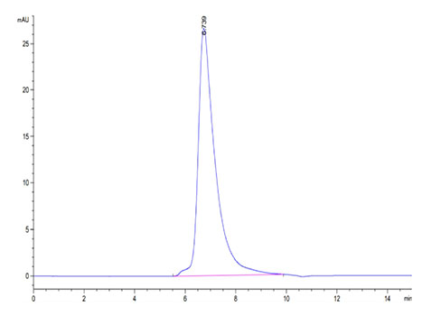 Recombinant Cynomolgus TNFRSF1B/TNF-R2/CD120b Protein