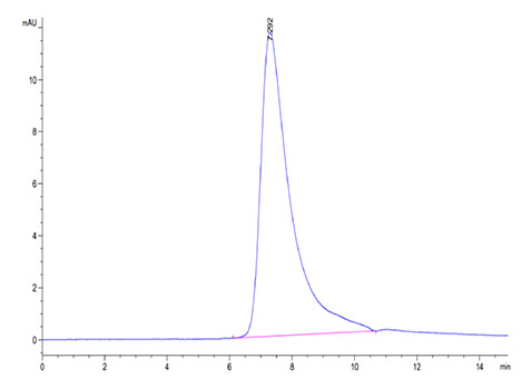 Recombinant Human GFR alpha-like/GFRAL Protein