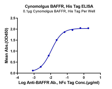 Recombinant Cynomolgus TNFRSF13C/BAFFR/CD268 Protein