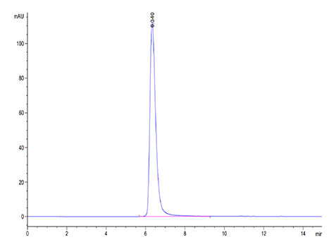 Recombinant Human CD163 Protein