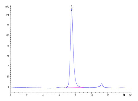 Recombinant Cynomolgus TNFRSF5/CD40 Protein