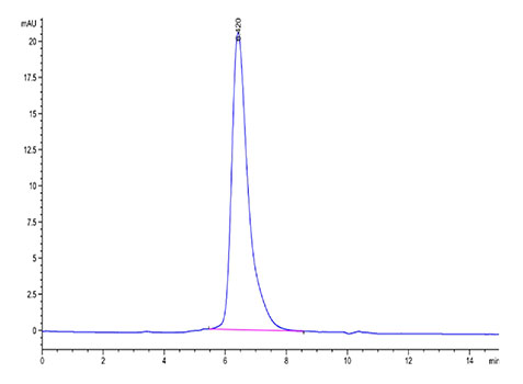 Recombinant SARS-COV-2 Spike S1 NTD Protein