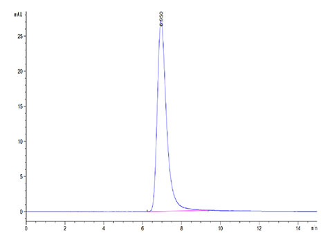 Recombinant SARS-COV-2 Spike RBD Protein