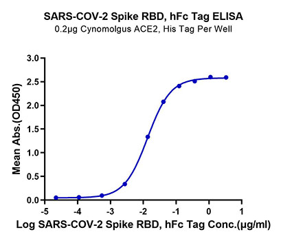 Recombinant SARS-COV-2 Spike RBD Protein