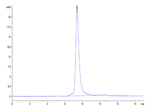 Biotinylated Recombinant SARS-COV-2 Spike RBD Protein