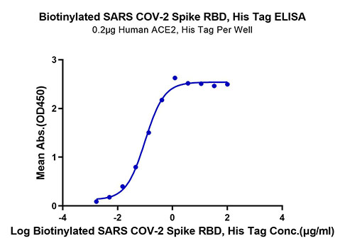 Biotinylated Recombinant SARS-COV-2 Spike RBD Protein