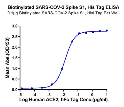 Biotinylated Recombinant SARS-COV-2 Spike S1 Protein