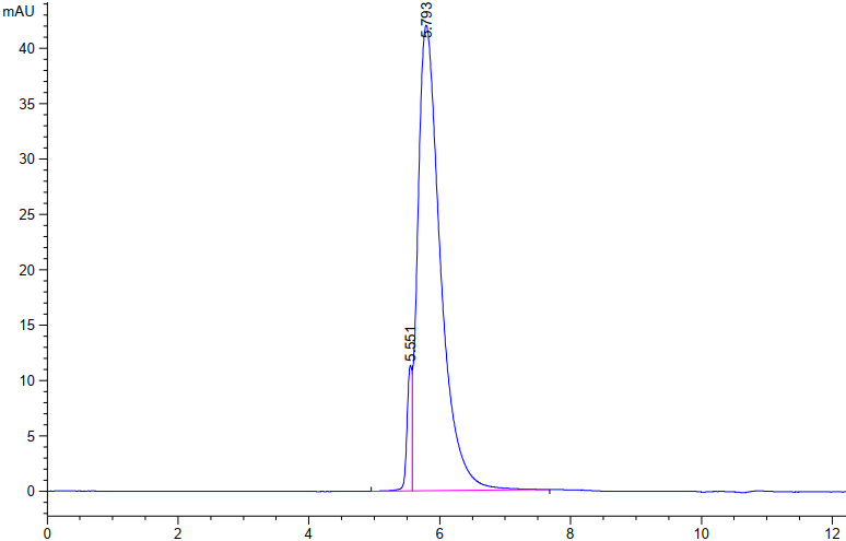Recombinant SARS-COV-2 Spike S1+S2 ECD (S-ECD) Protein
