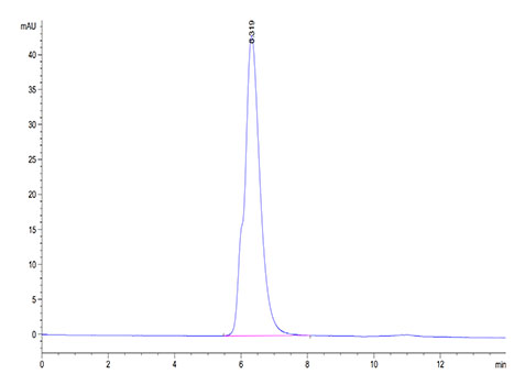 Recombinant Human NKG2A&KLRD1/CD159a&CD94 Protein