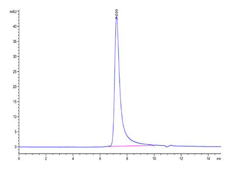 Recombinant Human NKG2A&KLRD1/CD159a&CD94 Protein