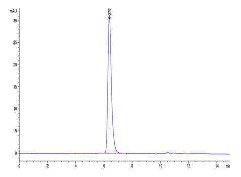 Recombinant Human Notch 1 Protein