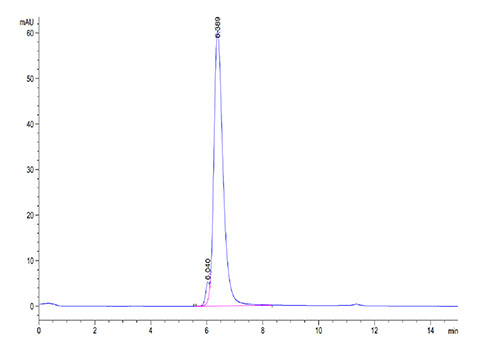 Recombinant Cynomolgus B7-H1/PD-L1/CD274 Protein