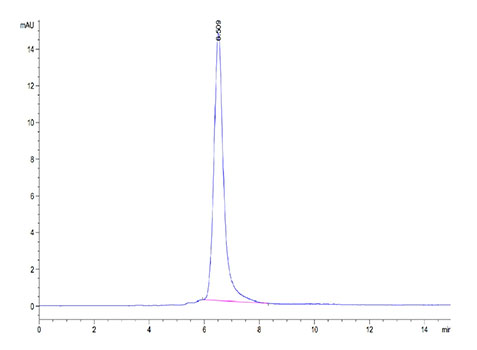 Recombinant Human ROR2 Protein
