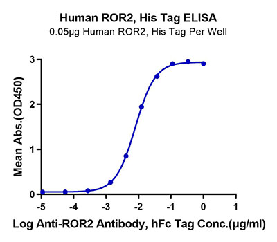 Recombinant Human ROR2 Protein