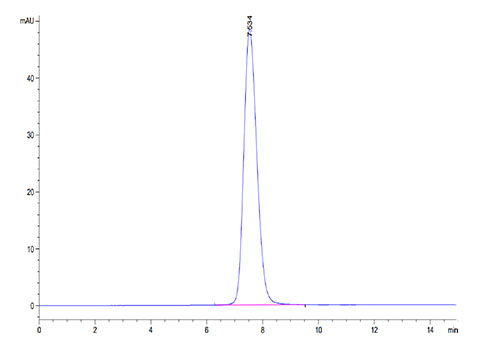 Recombinant Human FGFR-2 beta (IIIb)/KGFR/CD332 (253-378) Protein