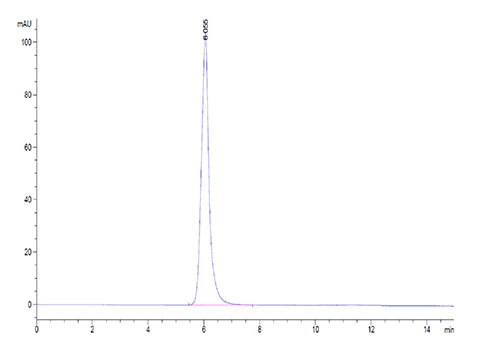 Recombinant Human FGFR-2 alpha (IIIb)/KGFR/CD332 Protein