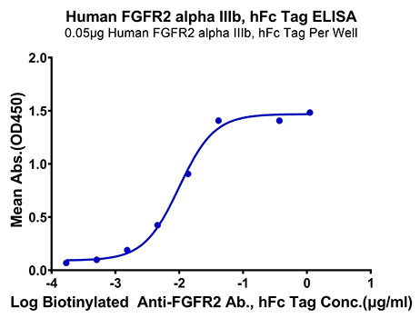Recombinant Human FGFR-2 alpha (IIIb)/KGFR/CD332 Protein