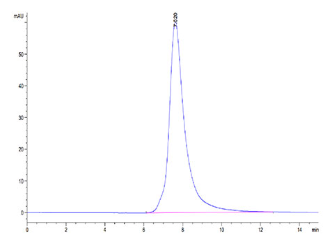 Recombinant Human FGFR-2 beta (IIIb)/KGFR/CD332 Protein