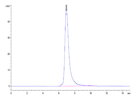 Recombinant Human FGFR-2 alpha (IIIc)/KGFR/CD332 Protein